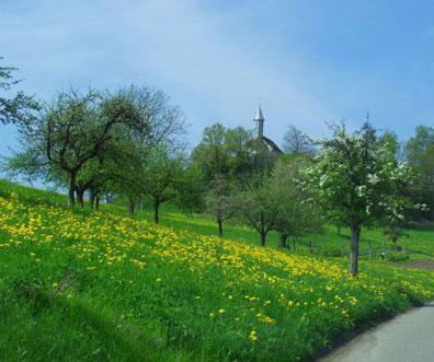 Landgasthof Hirschen Albbruck Dış mekan fotoğraf