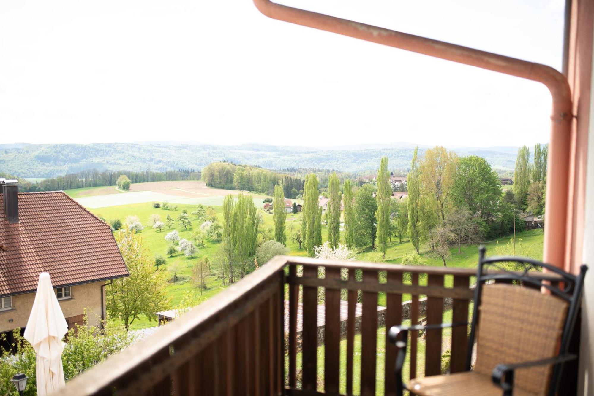 Landgasthof Hirschen Albbruck Dış mekan fotoğraf
